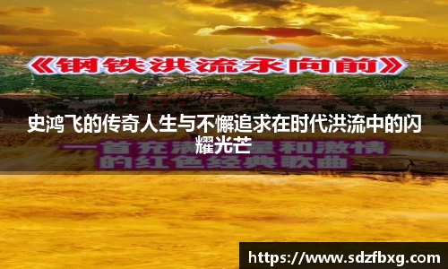 史鸿飞的传奇人生与不懈追求在时代洪流中的闪耀光芒